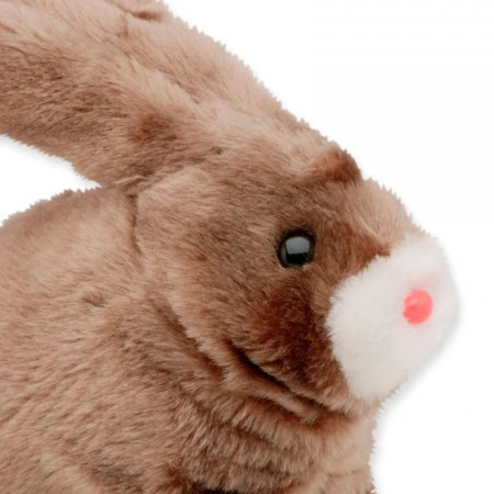 Brinquedo Adaptado Coelho Robbie