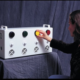 Painel Aromático Luzes e Aromas TFH